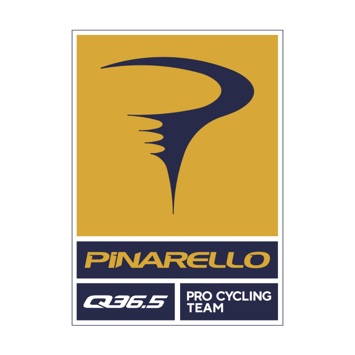Pinarello Q36.5 Pro Cycling Team